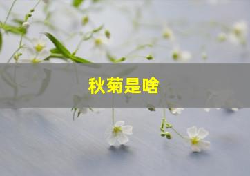 秋菊是啥