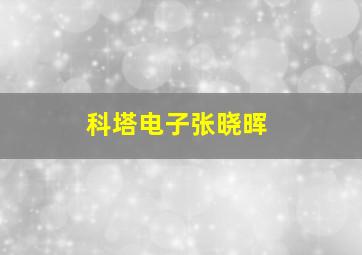 科塔电子张晓晖