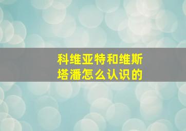 科维亚特和维斯塔潘怎么认识的