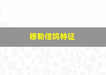 穆勒信鸽特征