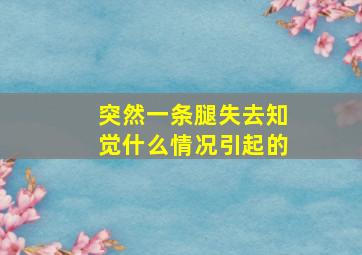 突然一条腿失去知觉什么情况引起的