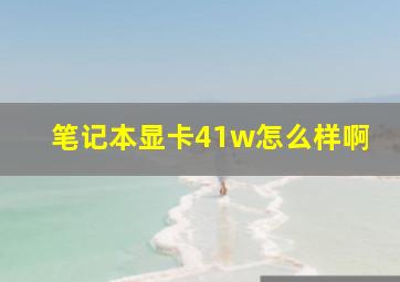 笔记本显卡41w怎么样啊