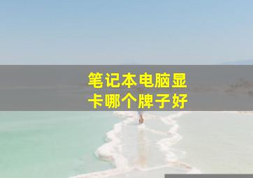 笔记本电脑显卡哪个牌子好