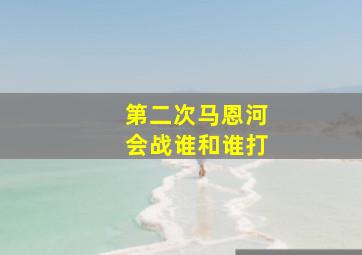 第二次马恩河会战谁和谁打