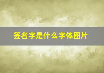 签名字是什么字体图片