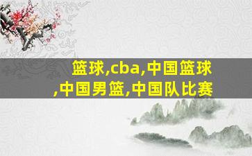 篮球,cba,中国篮球,中国男篮,中国队比赛