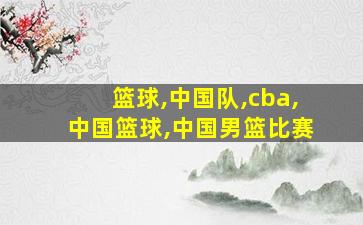 篮球,中国队,cba,中国篮球,中国男篮比赛