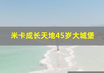 米卡成长天地45岁大城堡