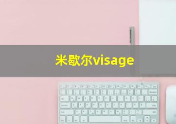 米歇尔visage