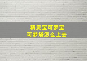 精灵宝可梦宝可梦塔怎么上去