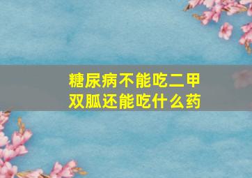 糖尿病不能吃二甲双胍还能吃什么药