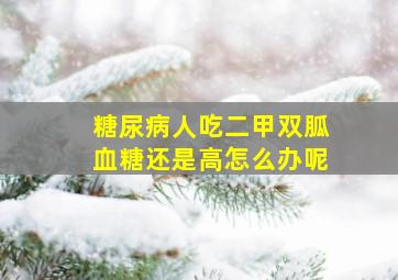 糖尿病人吃二甲双胍血糖还是高怎么办呢