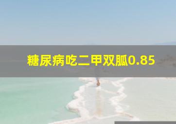 糖尿病吃二甲双胍0.85