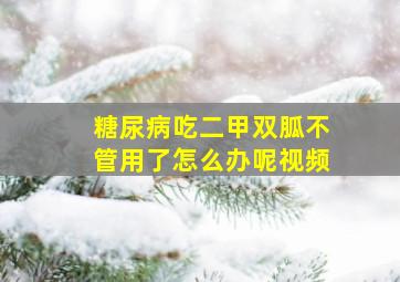 糖尿病吃二甲双胍不管用了怎么办呢视频