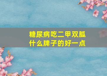 糖尿病吃二甲双胍什么牌子的好一点