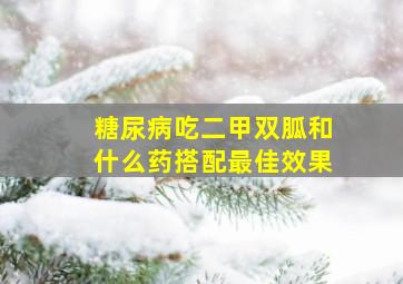 糖尿病吃二甲双胍和什么药搭配最佳效果