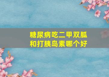 糖尿病吃二甲双胍和打胰岛素哪个好