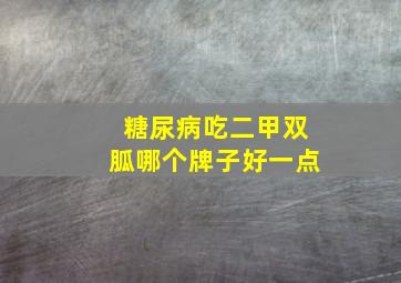 糖尿病吃二甲双胍哪个牌子好一点