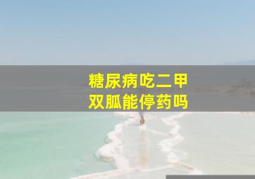 糖尿病吃二甲双胍能停药吗