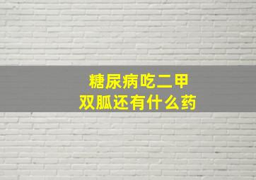 糖尿病吃二甲双胍还有什么药