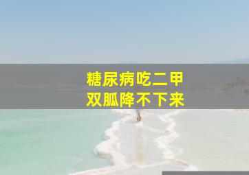 糖尿病吃二甲双胍降不下来