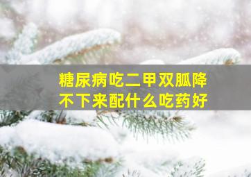 糖尿病吃二甲双胍降不下来配什么吃药好