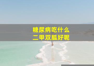 糖尿病吃什么二甲双胍好呢