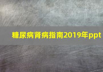 糖尿病肾病指南2019年ppt