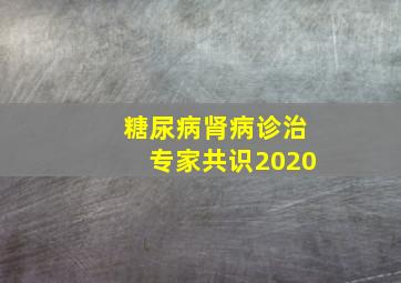 糖尿病肾病诊治专家共识2020