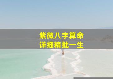 紫微八字算命详细精批一生