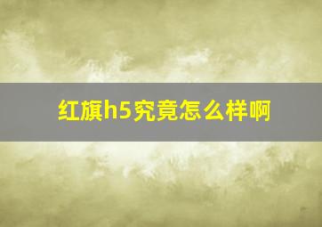 红旗h5究竟怎么样啊