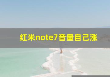 红米note7音量自己涨