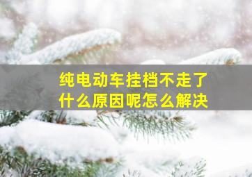 纯电动车挂档不走了什么原因呢怎么解决