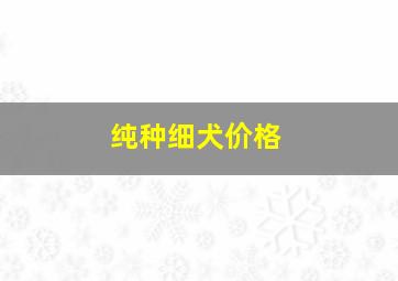 纯种细犬价格