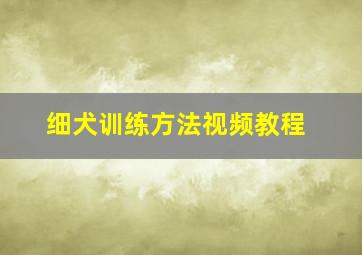 细犬训练方法视频教程