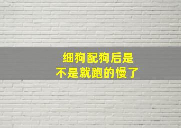 细狗配狗后是不是就跑的慢了