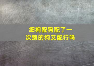 细狗配狗配了一次别的狗又配行吗