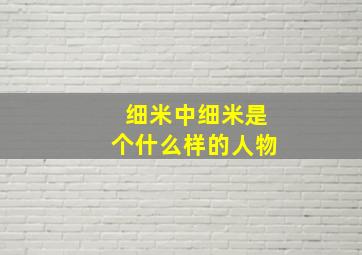 细米中细米是个什么样的人物