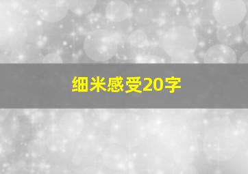 细米感受20字