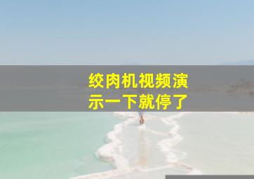 绞肉机视频演示一下就停了