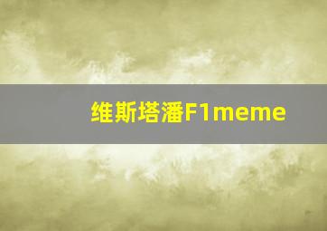 维斯塔潘F1meme