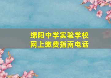 绵阳中学实验学校网上缴费指南电话