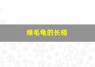 绿毛龟的长相