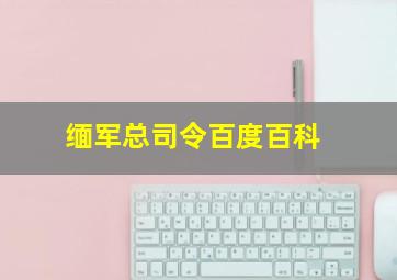 缅军总司令百度百科