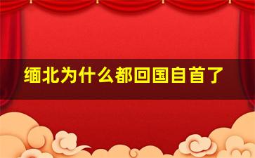 缅北为什么都回国自首了