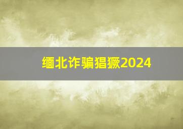 缅北诈骗猖獗2024