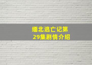 缅北逃亡记第29集剧情介绍