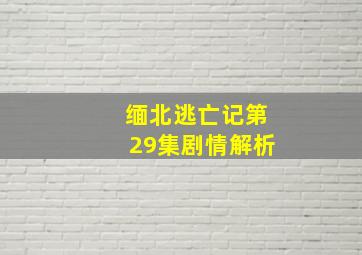 缅北逃亡记第29集剧情解析