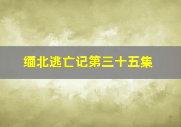 缅北逃亡记第三十五集