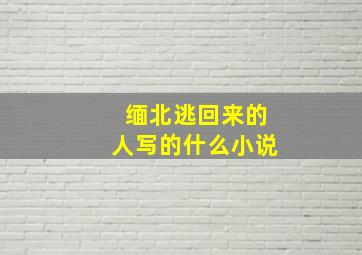 缅北逃回来的人写的什么小说